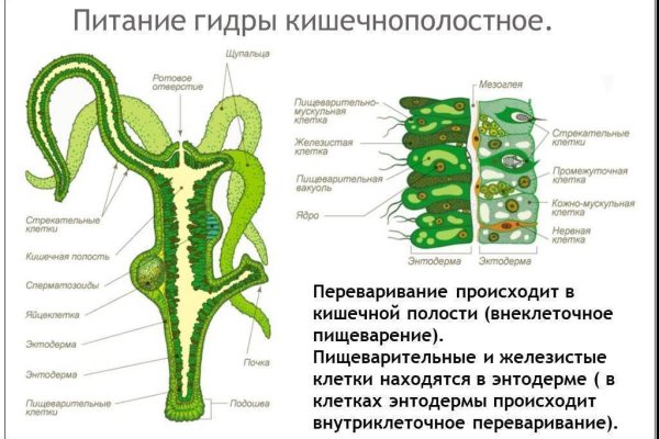 Актуальное зеркало на кракен
