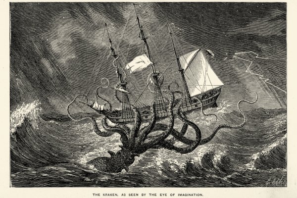 Kraken site