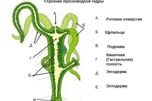 Кракен ссылка зеркало
