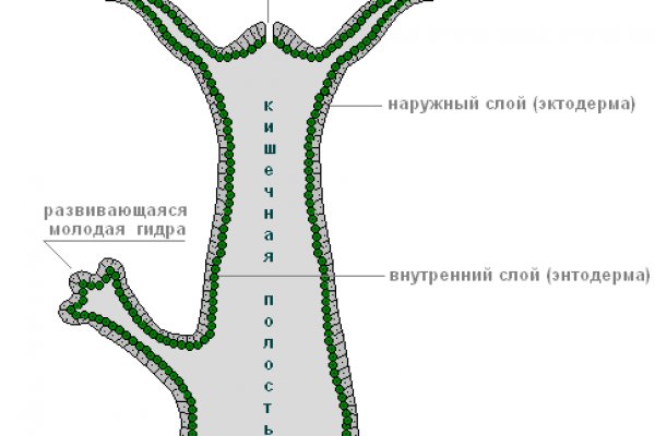 Kraken вход и ссылки